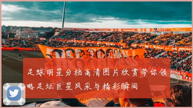足球明星分档高清图片欣赏带你领略足坛巨星风采与精彩瞬间