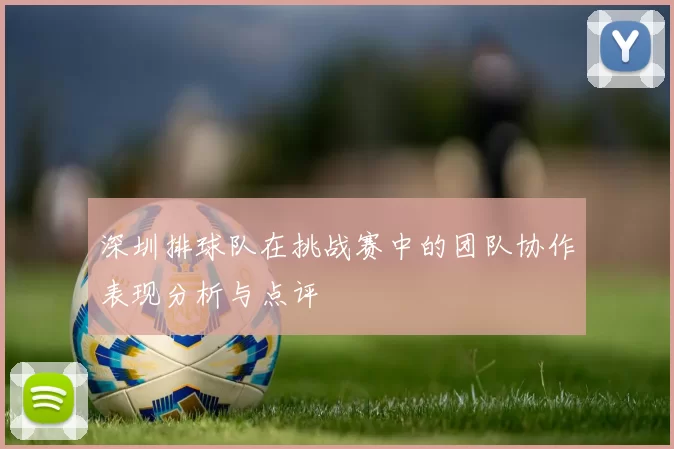 深圳排球队在挑战赛中的团队协作表现分析与点评