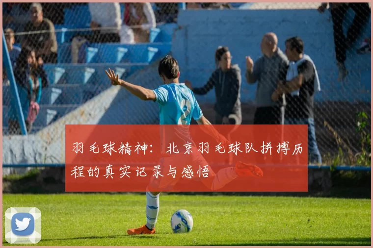 羽毛球精神：北京羽毛球队拼搏历程的真实记录与感悟