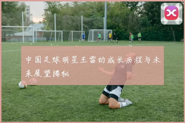 中国足球明星王雷的成长历程与未来展望揭秘