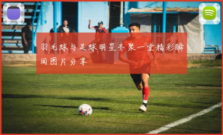 羽毛球与足球明星齐聚一堂精彩瞬间图片分享