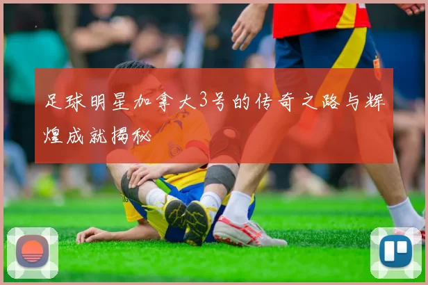 足球明星加拿大3号的传奇之路与辉煌成就揭秘
