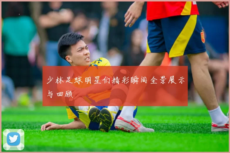 少林足球明星们精彩瞬间全景展示与回顾