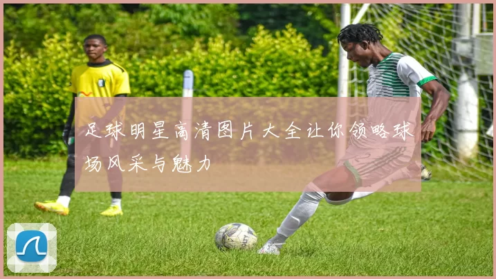 足球明星高清图片大全让你领略球场风采与魅力