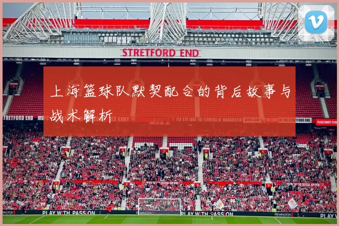 上海篮球队默契配合的背后故事与战术解析