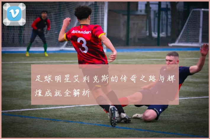 足球明星艾利克斯的传奇之路与辉煌成就全解析