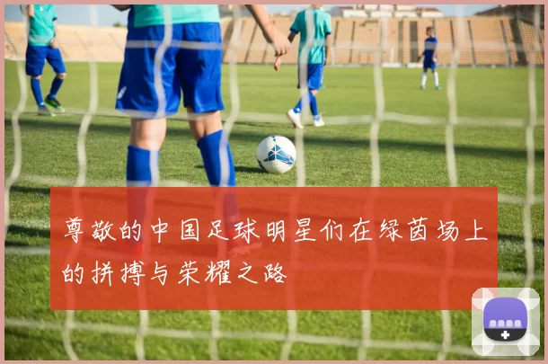 尊敬的中国足球明星们在绿茵场上的拼搏与荣耀之路
