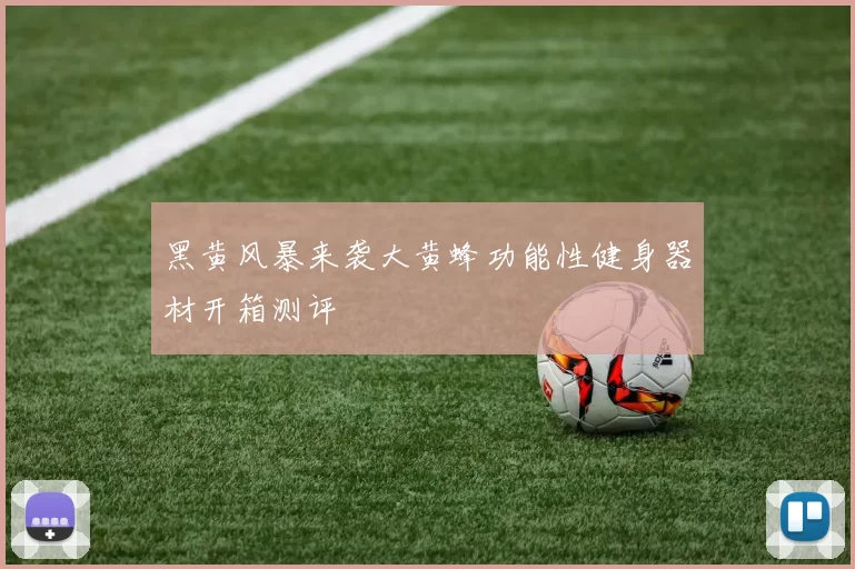 黑黄风暴来袭大黄蜂功能性健身器材开箱测评