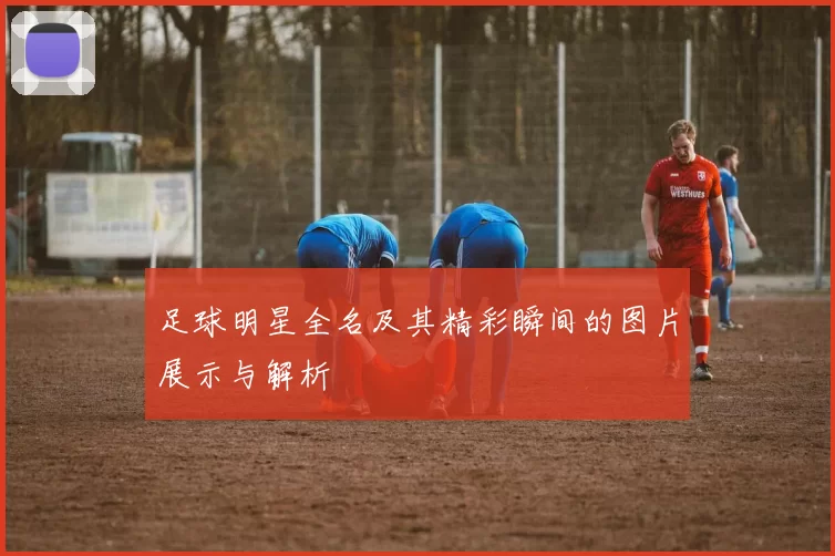 足球明星全名及其精彩瞬间的图片展示与解析