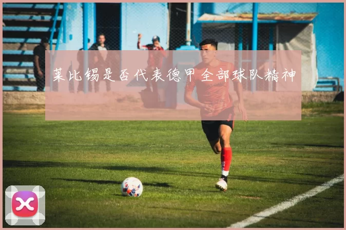莱比锡是否代表德甲全部球队精神