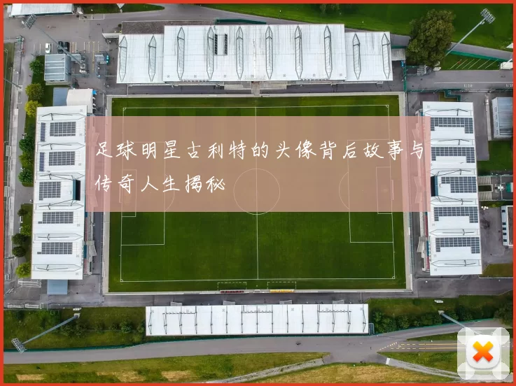 足球明星古利特的头像背后故事与传奇人生揭秘