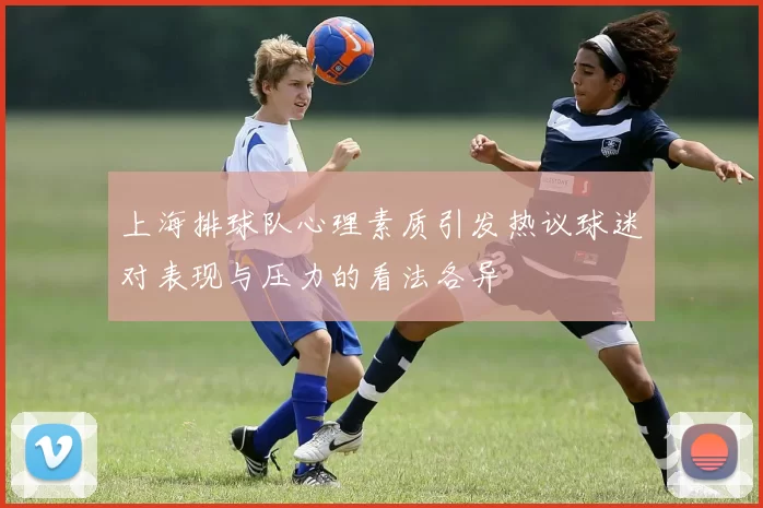 上海排球队心理素质引发热议球迷对表现与压力的看法各异