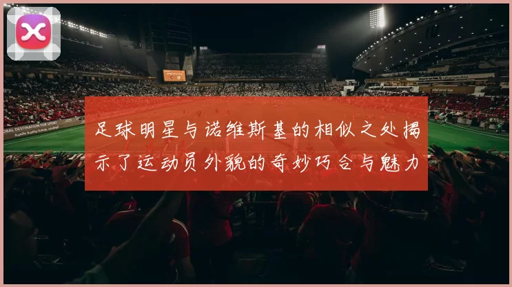 足球明星与诺维斯基的相似之处揭示了运动员外貌的奇妙巧合与魅力