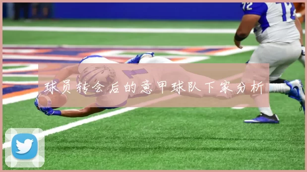 球员转会后的意甲球队下家分析