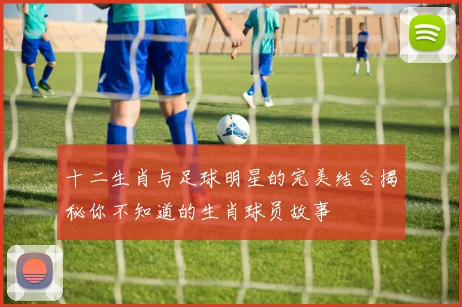 十二生肖与足球明星的完美结合揭秘你不知道的生肖球员故事