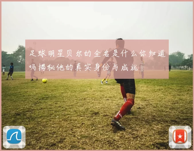 足球明星贝尔的全名是什么你知道吗揭秘他的真实身份与成就
