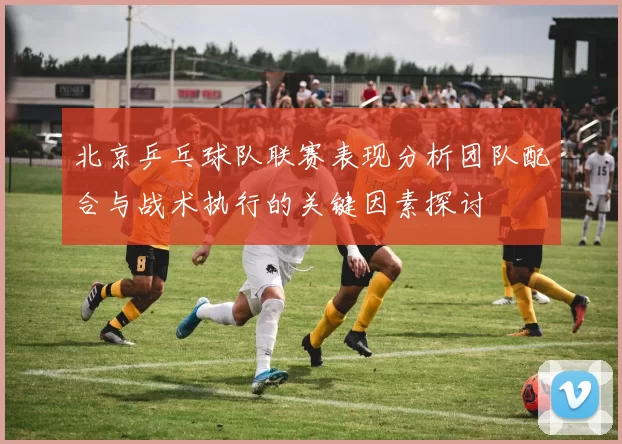 北京乒乓球队联赛表现分析团队配合与战术执行的关键因素探讨