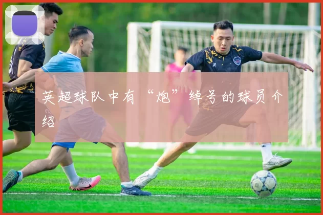 英超球队中有“炮”绰号的球员介绍