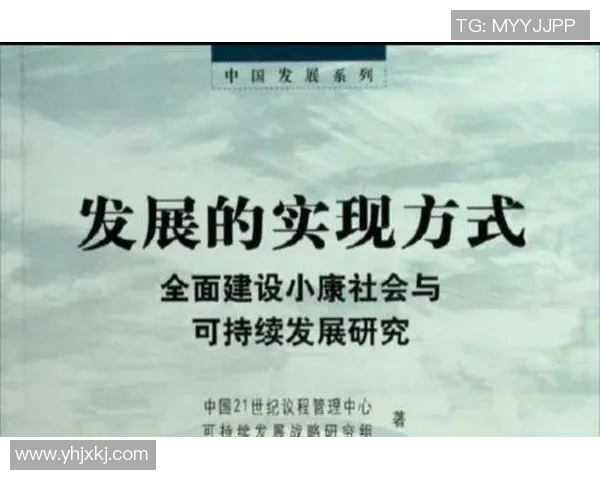 武汉羽毛球队战术分析与技巧提升的全面探讨与展望