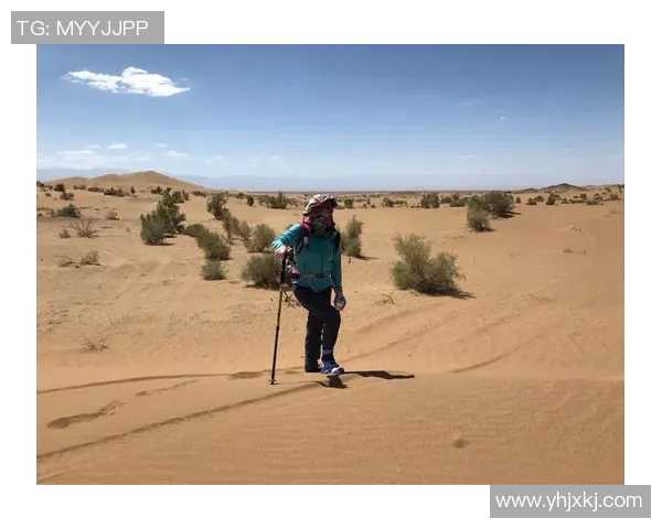 深度对话:探索杨静在王者荣耀中的成长与挑战之旅